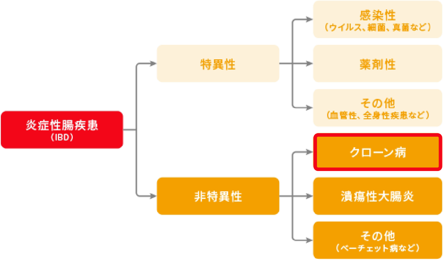 炎症性腸疾患の分類