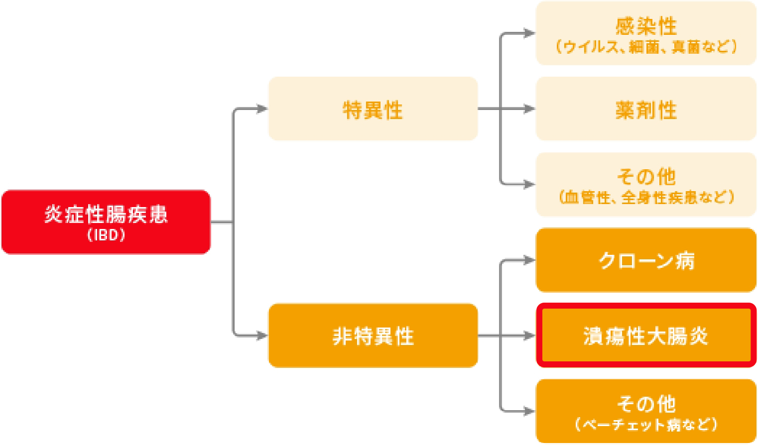 炎症性腸疾患の分類