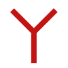 Y